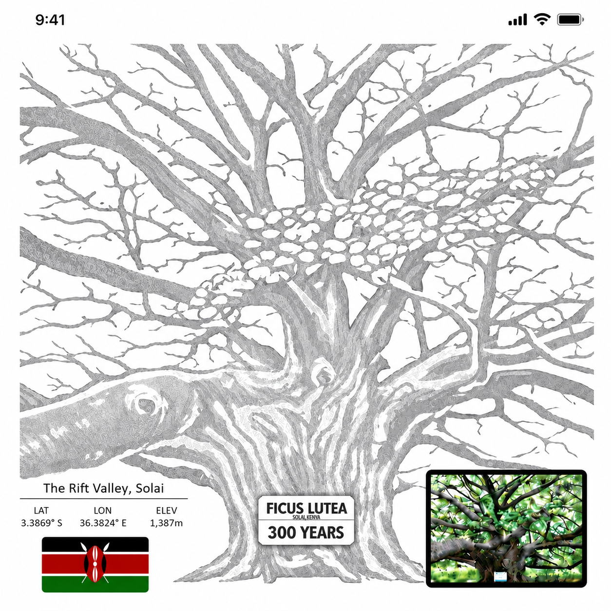 Decorative Tree